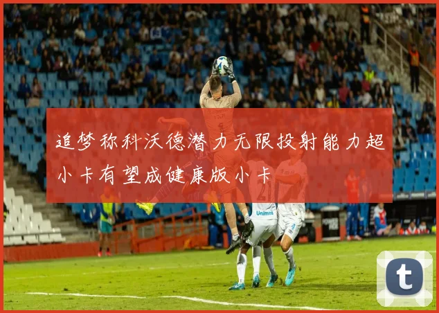 追梦称科沃德潜力无限投射能力超小卡有望成健康版小卡