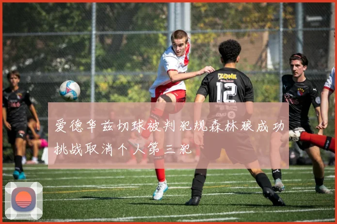 爱德华兹切球被判犯规森林狼成功挑战取消个人第三犯